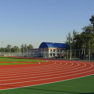 彈性跑道、球場(chǎng)